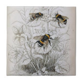 ヴィンテージハニービーイラストレーション | タイル (正面)