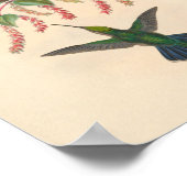 ヴィンテージハミングバーズアートバードプリント花 ポスター (角)