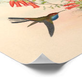 ヴィンテージハミングバーズアートバードプリント花 ポスター (角)