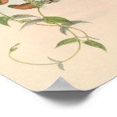 ヴィンテージハミングバーズアートバードプリント花 ポスター (角)