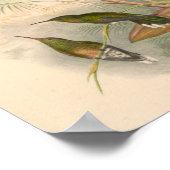 ヴィンテージハミングバーズアートバードプリント花 ポスター (角)