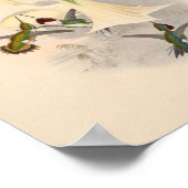 ヴィンテージハミングバーズアートバードプリント花 ポスター (角)