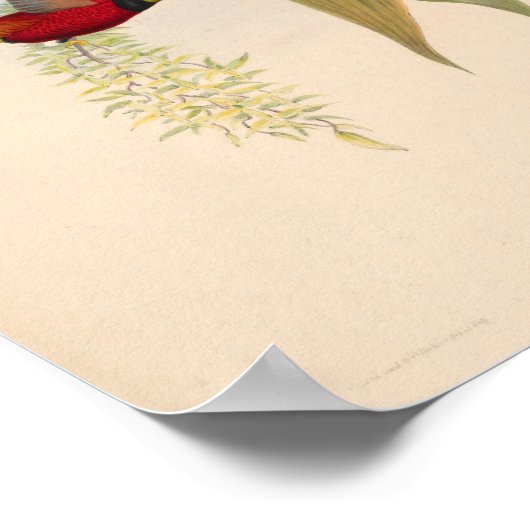 ヴィンテージハミングバーズアートバードプリント花 ポスター (角)