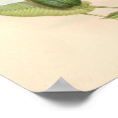 ヴィンテージハミングバーズアートバードプリント花 ポスター (角)