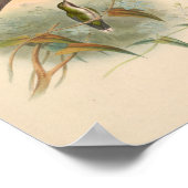 ヴィンテージハミングバーズアートバードプリント花 ポスター (角)