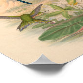 ヴィンテージハミングバーズアートバードプリント花 ポスター (角)