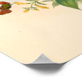 ヴィンテージハミングバーズアートバードプリント花 ポスター (角)