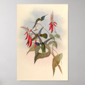 ヴィンテージハミングバーズアートバードプリント花 ポスター (正面)