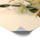 ヴィンテージハミングバーズアートバードプリント花 ポスター (角)