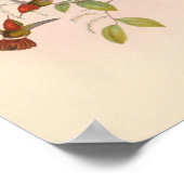 ヴィンテージハミングバーズアートバードプリント花 ポスター (角)