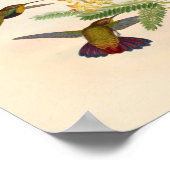 ヴィンテージハミングバーズアートバードプリント花 ポスター (角)