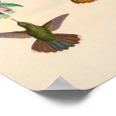 ヴィンテージハミングバーズアートバードプリント花 ポスター (角)