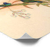 ヴィンテージハミングバーズアートバードプリント花 ポスター (角)