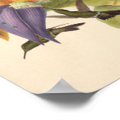 ヴィンテージハミングバーズアートバードプリント花 ポスター (角)