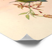 ヴィンテージハミングバーズアートバードプリント花 ポスター (角)