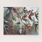 ヴィンテージハミングバーズオールドブックイラストレーションアート ジグソーパズル (横)