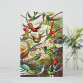 ヴィンテージハミングバーズバイエルンストヘイケル (スタンド正面)