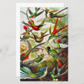 ヴィンテージハミングバーズバイエルンストヘイケル (正面/裏面)