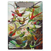 ヴィンテージハミングバーズバイエルンストヘイケル