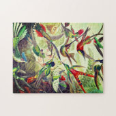 ヴィンテージハミングバーズバイエルンストヘイケル ジグソーパズル (横)