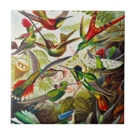 ヴィンテージハミングバーズバイエルンストヘイケル タイル