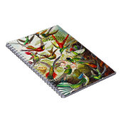 ヴィンテージハミングバーズバイエルンストヘイケル ノートブック (右側)