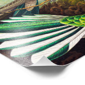 ヴィンテージハミングバーズバイエルンストヘイケル フォトプリント            (角)