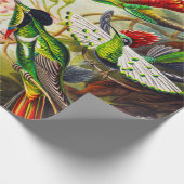 ヴィンテージハミングバーズバイエルンストヘイケル ラッピングペーパー (角)