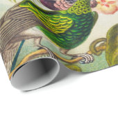 ヴィンテージハミングバーズバイエルンストヘイケル ラッピングペーパー (ロールコーナー)