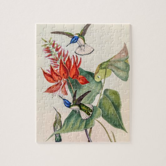 ヴィンテージハミングバーズバイジョングールド ジグソーパズル (縦)