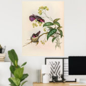 ヴィンテージハミングバーズバイジョングールド ポスター (ホームオフィス)