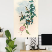 ヴィンテージハミングバーズバイジョングールド ポスター (ホームオフィス)