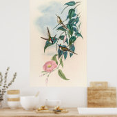 ヴィンテージハミングバーズバイジョングールド ポスター (キッチン)