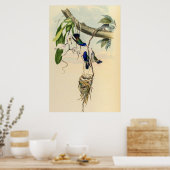 ヴィンテージハミングバーズバイジョングールド ポスター (キッチン)