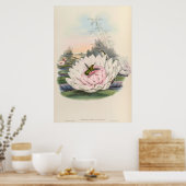 ヴィンテージハミングバーズバイジョングールド ポスター (キッチン)