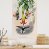 ヴィンテージハミングバーズバイジョングールド ポスター (キッチン)