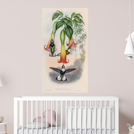 ヴィンテージハミングバーズバイジョングールド ポスター (子ども部屋2)