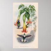 ヴィンテージハミングバーズバイジョングールド ポスター (正面)