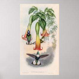 ヴィンテージハミングバーズバイジョングールド ポスター