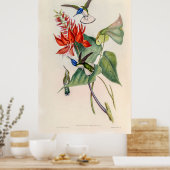 ヴィンテージハミングバーズバイジョングールド ポスター (キッチン)