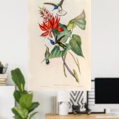 ヴィンテージハミングバーズバイジョングールド ポスター (ホームオフィス)