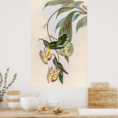 ヴィンテージハミングバーズバイジョングールド ポスター (キッチン)