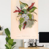 ヴィンテージハミングバーズバイジョングールド ポスター (ホームオフィス)