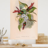 ヴィンテージハミングバーズバイジョングールド ポスター (キッチン)