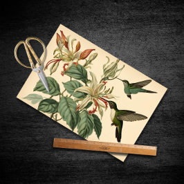 ヴィンテージハミングバードとハニーサックルの分離 薄葉紙