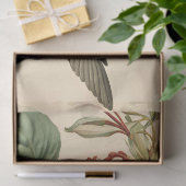 ヴィンテージハミングバードとハニーサックルの分離 薄葉紙 (ギフト)