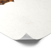 ヴィンテージハミングバードイラストレーションポスター ポスター (角)