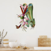 ヴィンテージハミングバードイラストレーションポスター ポスター (キッチン)