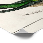 ヴィンテージハミングバードイラストレーション ポスター (角)