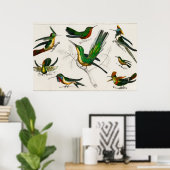 ヴィンテージハミングバードイラストレーション ポスター (ホームオフィス)